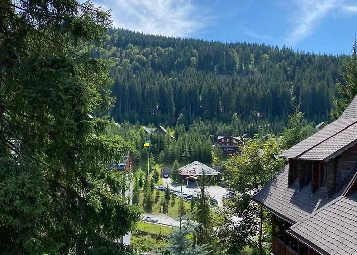 тетяна 木屋 *